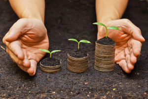 hands holding tress growing on coins / csr / sustainable development / economic growth / trees growing on stack of coins
